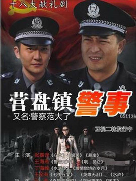 营盘镇警事剧情介绍_纵横剧情网