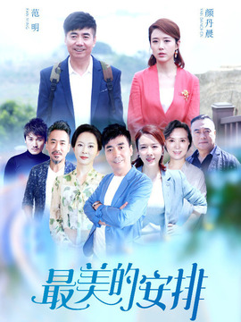 最美的安排剧情介绍_纵横剧情网