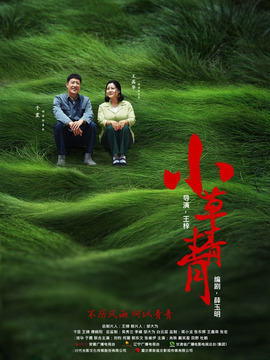 小草青青剧情介绍_纵横剧情网