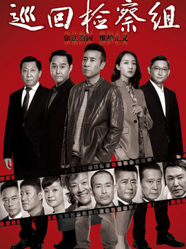 巡回检察组剧情介绍_纵横剧情网