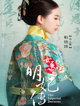 女医·明妃传剧情介绍_纵横剧情网