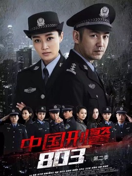 中国刑警803英雄本色剧情介绍_纵横剧情网