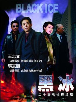 黑冰剧情介绍_纵横剧情网