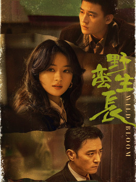 风吹半夏剧情介绍_纵横剧情网