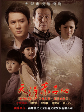 天涯赤子心剧情介绍_纵横剧情网