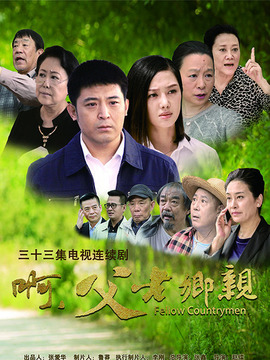 啊，父老乡亲剧情介绍_纵横剧情网