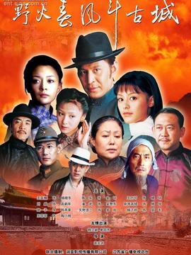 野火春风斗古城剧情介绍_纵横剧情网