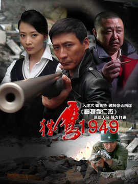 猎鹰1949剧情介绍_纵横剧情网