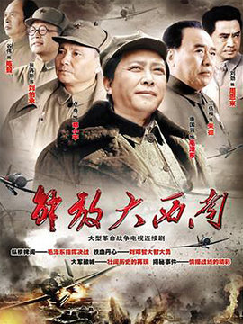 解放大西南剧情介绍_纵横剧情网
