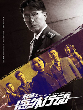 刑警之海外行动剧情介绍_纵横剧情网