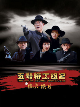 五号特工组之偷天换月剧情介绍_纵横剧情网