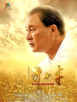 历史转折中的邓小平剧情介绍_纵横剧情网