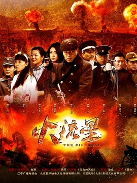 火流星剧情介绍_纵横剧情网