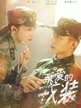 爱上特种兵剧情介绍_纵横剧情网