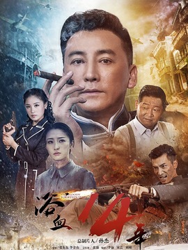 浴血十四年剧情介绍_纵横剧情网