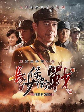 长沙保卫战剧情介绍_纵横剧情网