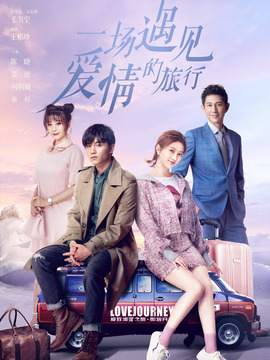 一场遇见爱情的旅行剧情介绍_纵横剧情网