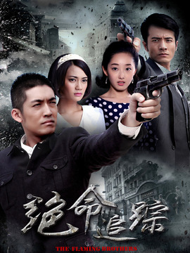 绝命追踪剧情介绍_纵横剧情网