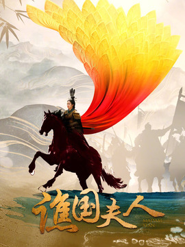 谯国夫人剧情介绍_纵横剧情网