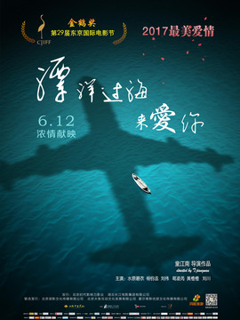 漂洋过海来爱你剧情介绍_纵横剧情网