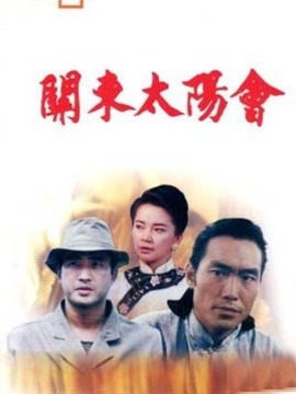 关东太阳会剧情介绍_纵横剧情网