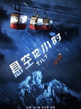 悬空12小时剧情介绍_纵横剧情网
