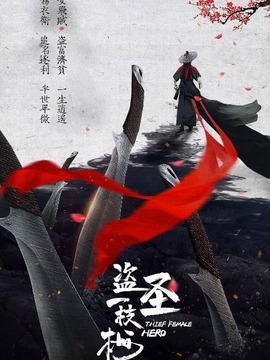 盗圣一枝梅剧情介绍_纵横剧情网