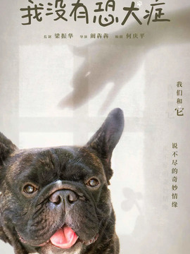 我没有恐犬症剧情介绍_纵横剧情网