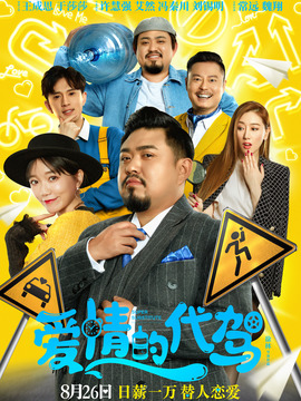爱情的代驾剧情介绍_纵横剧情网