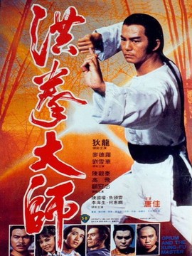 洪拳大师剧情介绍_纵横剧情网