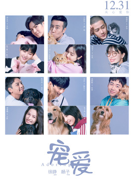 宠爱剧情介绍_纵横剧情网