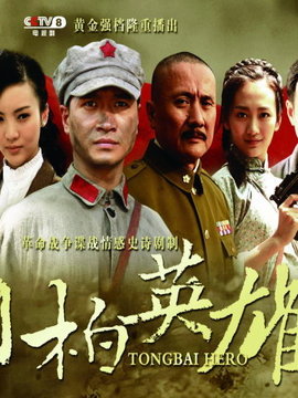 桐柏英雄剧情介绍_纵横剧情网