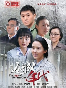 返城年代剧情介绍_纵横剧情网