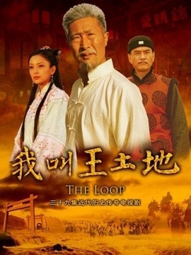 我叫王土地剧情介绍_纵横剧情网