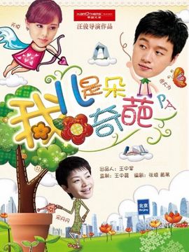 我的儿子是奇葩剧情介绍_纵横剧情网