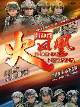 我是特种兵之火凤凰剧情介绍_纵横剧情网
