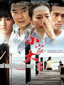 小家大事剧情介绍_纵横剧情网