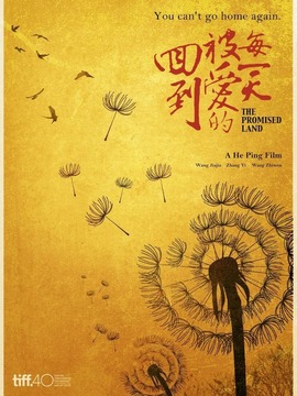 回到被爱的每一天剧情介绍_纵横剧情网