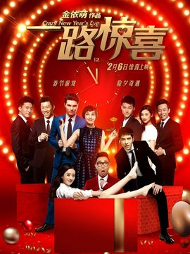 一路惊喜剧情介绍_纵横剧情网