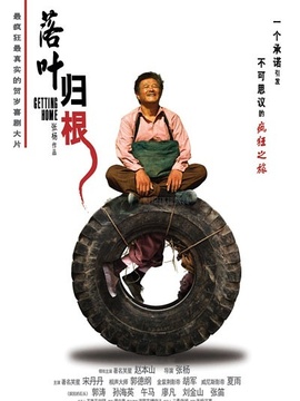 落叶归根剧情介绍_纵横剧情网