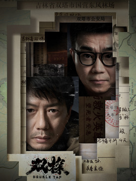双探剧情介绍_纵横剧情网