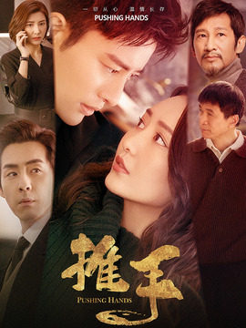 推手剧情介绍_纵横剧情网
