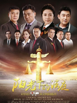 阳光下的法庭剧情介绍_纵横剧情网