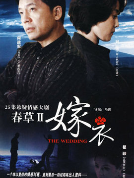 嫁衣剧情介绍_纵横剧情网