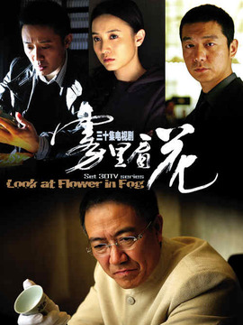 雾里看花剧情介绍_纵横剧情网