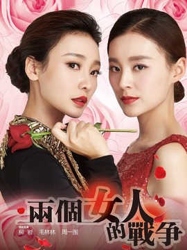 两个女人的战争剧情介绍_纵横剧情网