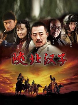 陕北汉子剧情介绍_纵横剧情网