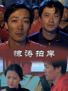 惊涛拍岸剧情介绍_纵横剧情网