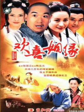 欢喜姻缘剧情介绍_纵横剧情网