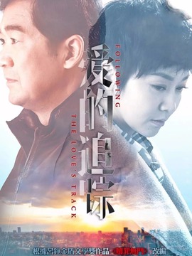 爱的追踪剧情介绍_纵横剧情网